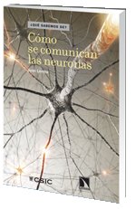 Cómo se comunican las neuronas