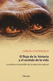 El flujo de la historia y el sentido de la vida