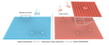 La transición de fase es el cambio de una fase a otra de la materia. Por ejemplo, lo que ocurre cuando el hielo se derrite y se convierte en agua líquida. Usando la topología, Kosterlitz y Thouless describieron una transición de fase topológica en una fina capa de materia muy fría. En estas gélidas condiciones, se forman pares de vórtices que luego se separan de repente a la temperatura de la transición de fase. Fuente: Nobelprize.org