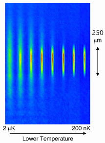 Observación directa de la condensación Bose-Einstein. MIT.