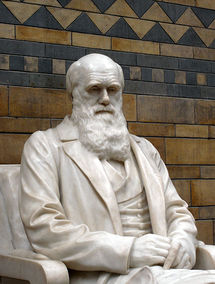 Darwin en el Museo de Historia Natural de Londres. Foto:  Patche99z. Wikipedia.