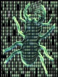 Internet puede inmunizarse contra los virus