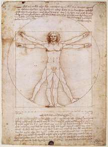 Hombre de Vitruvio, por Leonardo da Vinci. Fuente: Wikimedia Commons.