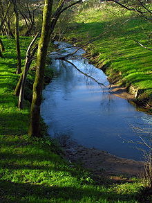 Río Sar, en Galicia. Fuente: Wikimedia Commons.