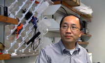 Qun Zhao, director de la investigación. Fuente: UGA.