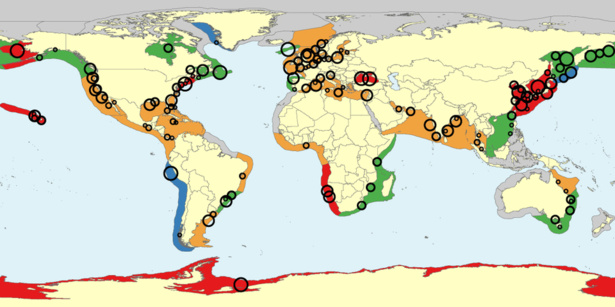 Mapa de las tendencias de evolución de las poblaciones de medusas en las zonas costeras. UBC.