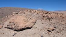 Rocas del desierto de Atacama. Fuente: Jacek Wierzchos.