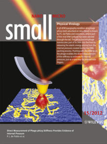 Imagen de AFM de un Phi29 (rojo) que ha liberado parte del ADN (amarillo). La micropalanca (gris) y la punta (dorado), junto con el láser, indican el experimento de deformación mecánica. Fuente: UAM.