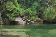 La Amazonia podría ser más fuerte de lo que se pensaba. Imagen: Eduardo Azeredo. Fuente: PhotoXpress.