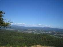 Monte español. Imagen: Pavlemadrid. Fuente: Wikimedia Commons.