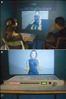 El avatar del experimento virtual. PlosOne.