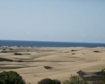 Canarias constituye una zona de tránsito de millones de viajeros al año, por lo que los especialistas recuerdan que esta región no está exenta de encontrarse con enfermedades infecciosas que circulan. Dunas de Maspalomas (Gran Canaria). Imagen: Baumanns. Fuente: Wikimedia Commons.