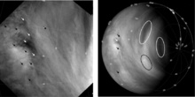 Seguimiento de las nubes de Venus. Imagen: Khatuntsev et al. Fuente: Icarus.