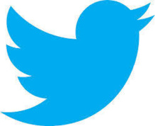 Logo de Twitter.