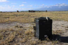 Aparato para la reproducción de grabaciones de voz y grupo de elefantes en el Parque Nacional Amboseli. Imagen: Katito Sayialel. Fuente: SINC.