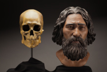 El cráneo del Hombre de Kennewick y una reconstrucción de su rostro. Imagen: Brittney Tatchell. Fuente: Smithsonian Institution.