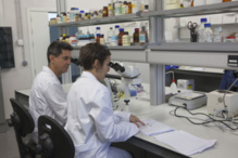 Los investigadores de la UJI. Fuente: UJI.