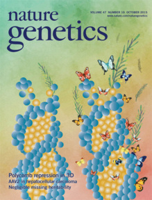 Portada del 'Nature Genetics' de octubre.