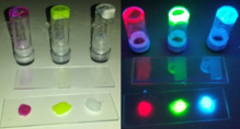 Gomas con proteínas luminiscentes roja, verde y azul usadas para fabricar los BioLED. Imagen: M. D. Weber. Fuente: Universidad de Erlangen-Nuremberg.