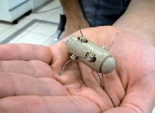 Crean una cápsula robot capaz de explorar el interior del cuerpo humano