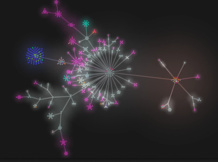 Un grupo internacional de matemáticos de Dartmouth College y otras instituciones han lanzado la LMFDB, un mapa online del terreno matemático. Imagen: American Institute of Mathematics. Gource. Fuente: Sinc.