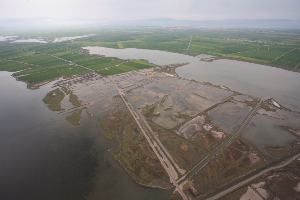 Delta del Ebro. Fuente: IRTA.