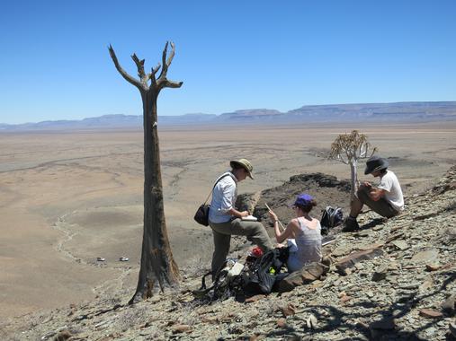 Han hallado en Namibia (África) el arrecife más antiguo construido por los primeros animales esqueléticos. Imagen: Rachel Wood. Fuente: Sinc.