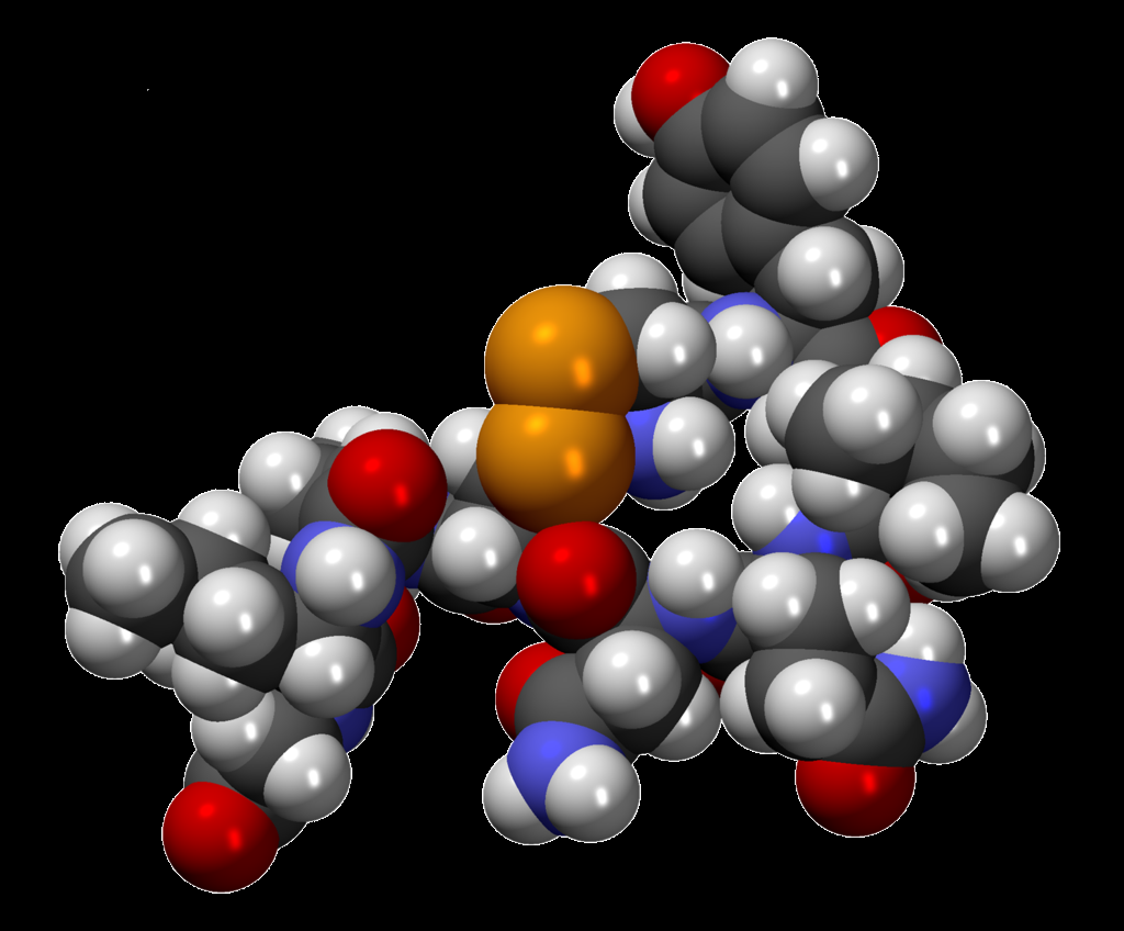 Modelo CPK de la molécula Oxitocina C43H66N12O12S2. Imagen: MindZiper. Fuente: Wikipedia.