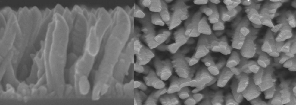 Vista lateral y cenital de las nanocolumnas de titanio del recubrimiento para implantes óseos. Fuente: CSIC.