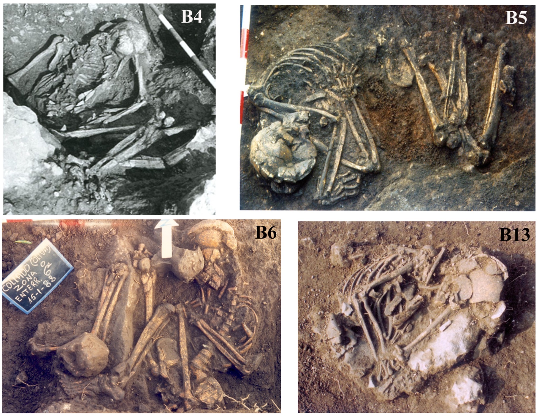 Restos humanos encontrados en la necrópolis de El Collado (Oliva, Valencia). Fuente: CSIC.