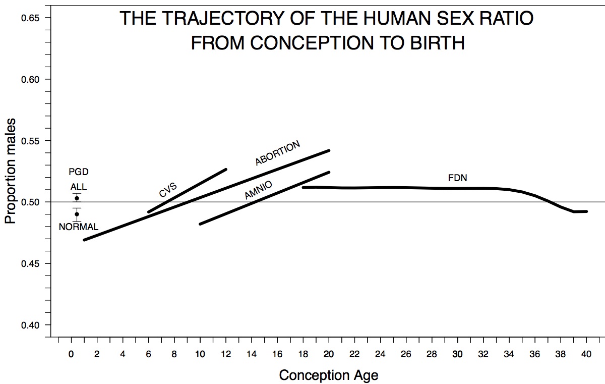 Evolución de la proporción de varones (eje vertical) a lo largo del embarazo (eje horizontal). Fuente: Instituto de Investigación Fresh Pond.