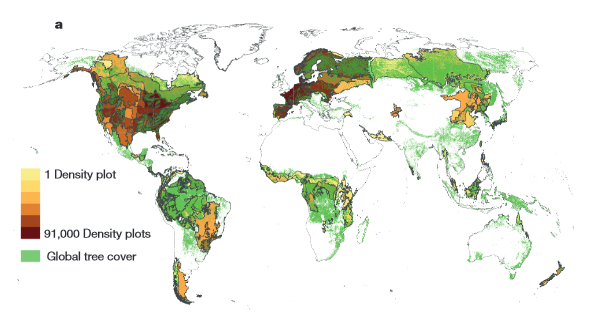 Mapa de la densidad forestal mundial. Imagen: Thomas Crowther et al. Fuente: Universidad de Yale.