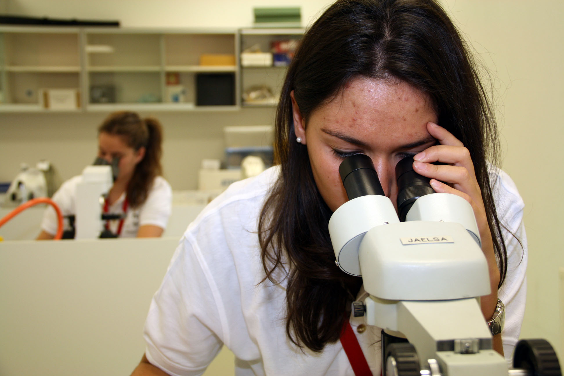 Una investigadora, en el laboratorio. Fuente: DICyT.