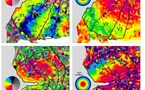 El escáner cerebral permite descubrir lo que está viendo una persona