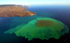 Descubren una  bacteria desconocida en el volcán surgido al lado de El Hierro