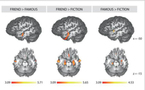 Identificados los circuitos neuronales que distinguen la realidad de la ficción