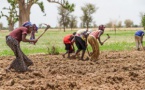 Reducir la contaminación en USA lleva más lluvias al Sahel