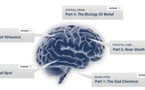 Crean el primer mapa del cerebro místico