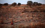 Sudáfrica  proyecta el mayor parque solar del mundo