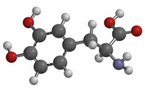 Descubren un medicamento que detiene la progresión del Parkinson