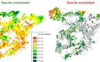 Los bosques españoles aún acumulan CO2, a pesar del cambio climático