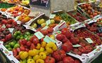 El tomate sobrevivió a extinciones por las triplicaciones de su genoma