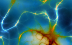 Científicos manipulan neuronas para controlar el comportamiento 