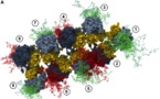 Nuevo método para fabricar máquinas de proteínas, a escala nanométrica