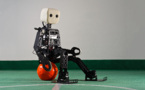 Crean un robot futbolista de un metro de altura   