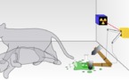 El gato de Schrödinger ayuda a observar átomos individuales y células vivas