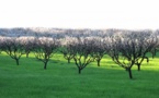 Nuevo método de cálculo determina el valor económico del medio rural