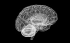 Vibraciones cuánticas neuronales respaldan una controvertida teoría de la conciencia