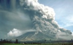 Los volcanes estimulan la evolución de la vida en la Tierra