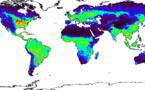 Ya es posible anticipar hambrunas observando las plantas desde el cielo